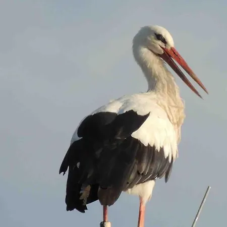 Ferienzimmer Oelhaf In Rose Self Check-in Mit Key-tresore 아파트